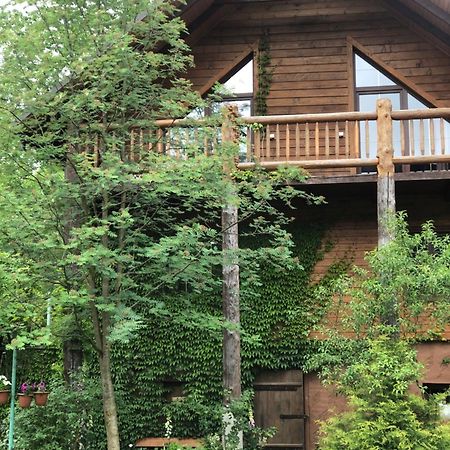 На Галіції Vila Beloberezka Exterior foto