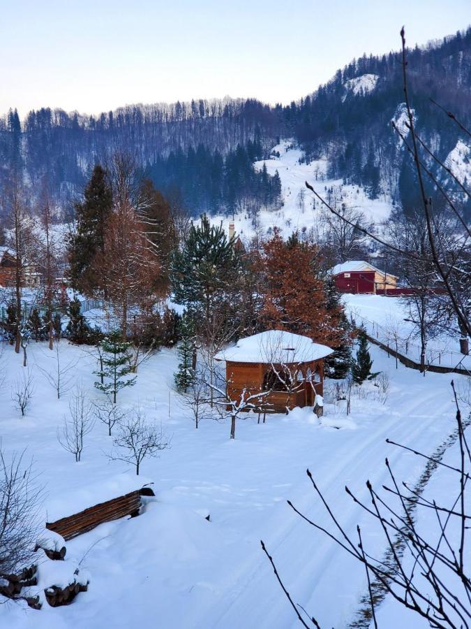 На Галіції Vila Beloberezka Exterior foto